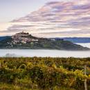 Tečaj risanja portreta, Motovun, Istra, Hrvaška 