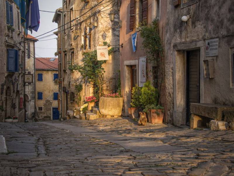 Tečaj risanja portreta, Motovun, Istra, Hrvaška 