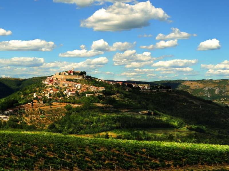 Tečaj risanja portreta, Motovun, Istra, Hrvaška 