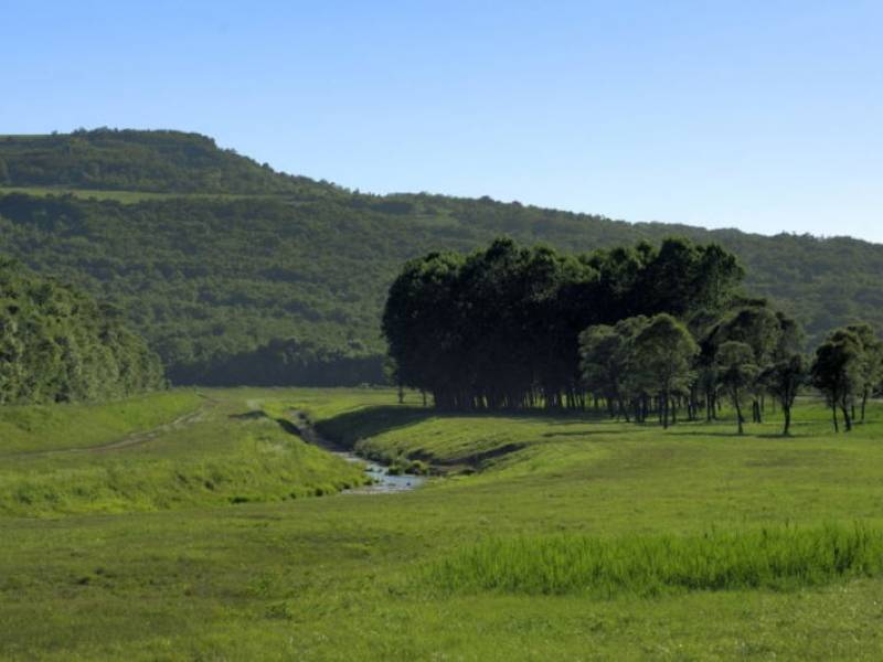 Tečaj crtanja portreta, Motovun, Istra, Hrvatska 