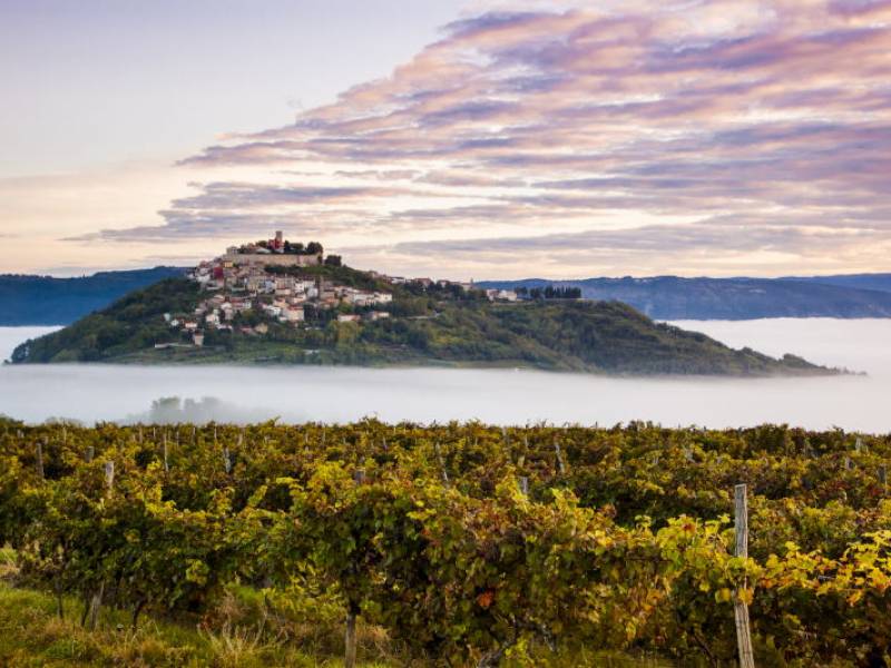 Tečaj risanja portreta, Motovun, Istra, Hrvaška 