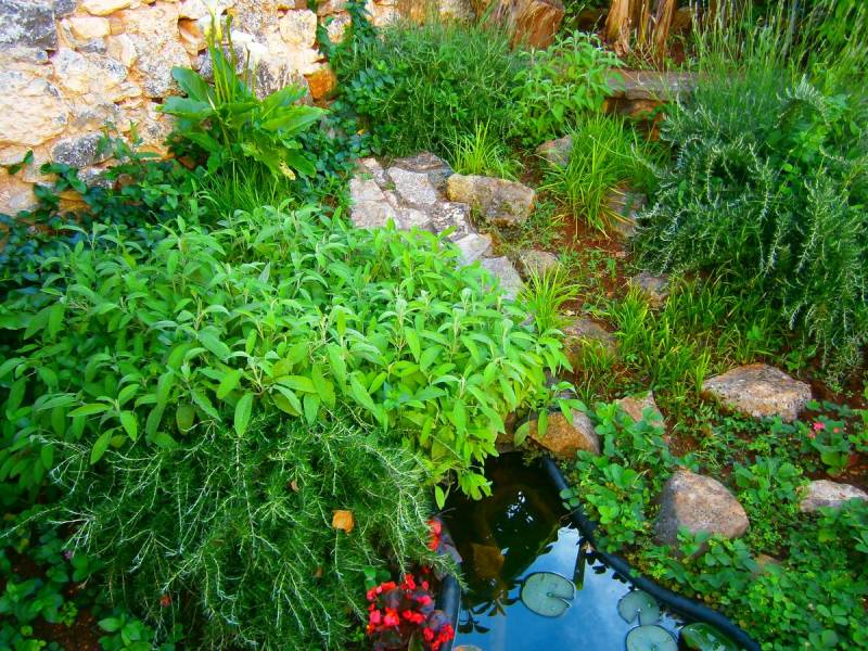 Relax Ferienhaus mit Pool und Spa in Marcana, in der Nähe von Pula, Istrien, Kroatien 