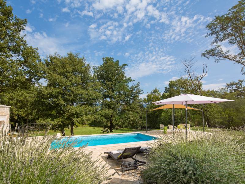 Villa de luxe avec piscine Vlasici, Krsan, Istria, Croatie 