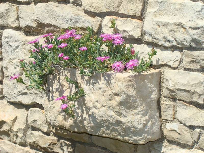 Stenen huis Rakalj, Pula, Istrië, Kroatië 