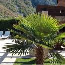 Holiday house with pool, Buna, Mostar, Bosnia and Herzegovina 