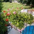 Relax apartmani sa bazenom i spa zonom u Marčani, blizu Pule, Istra, Hrvatska 