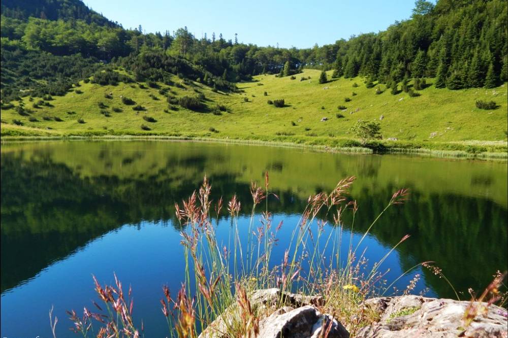 Skadarsko jezero | dnevna varijanta  |  Montenegro | Cipa travel