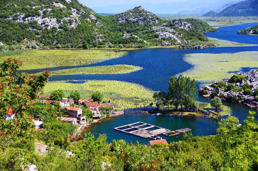 Skadarsko jezero | vecernja varijanta  |  Montenegro | Cipa travel