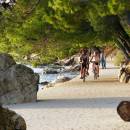 Ferienwohnungen Mare, Banjol, Insel Rab, Kroatien Ferienwohnungen Mare, Banjol, Insel Rab, Kroatien