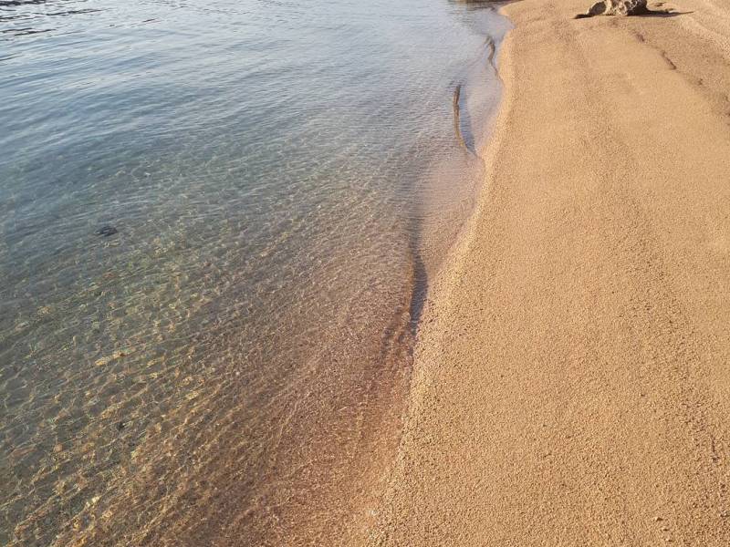 Ferienwohnungen Mare, Banjol, Insel Rab, Kroatien Ferienwohnungen Mare, Banjol, Insel Rab, Kroatien