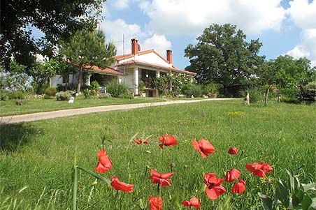 Apartman Lucija Apartman Lucija