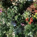 Apartman Lucija Apartman Lucija