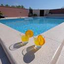 Holiday house Danijela with pool in Valbandon, Fazana, Istria, Croatia 