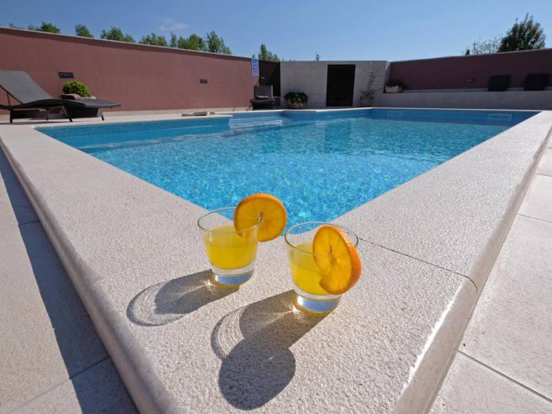 Holiday house Danijela with pool in Valbandon, Fazana, Istria, Croatia 