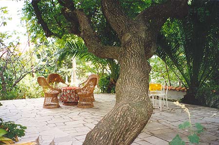 Vila Franka, Sobe, Banjol, otok Rab, Hrvatska Vila Franka, Sobe, Banjol, otok Rab, Hrvatska