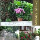 Vila Franka, Sobe, Banjol, otok Rab, Hrvatska Vila Franka, Sobe, Banjol, otok Rab, Hrvatska