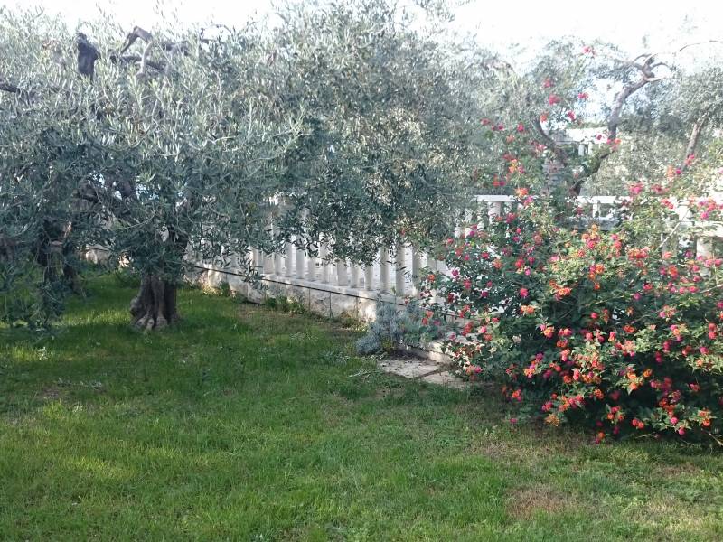 Ferienhaus Rogoznica direkt an Strand, Dalmatien, Kroatien 