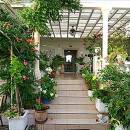 Villa Antonio Villa Antonio