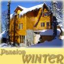 Pansion Winter 