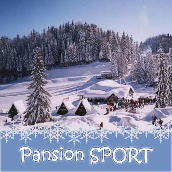 Pansion Sport 