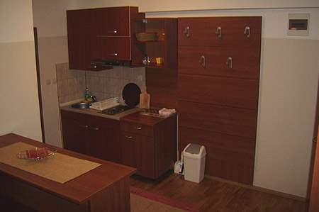 Pansion Sport 1 Pansion Sport 1