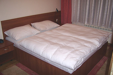Pansion Sport 1 Pansion Sport 1