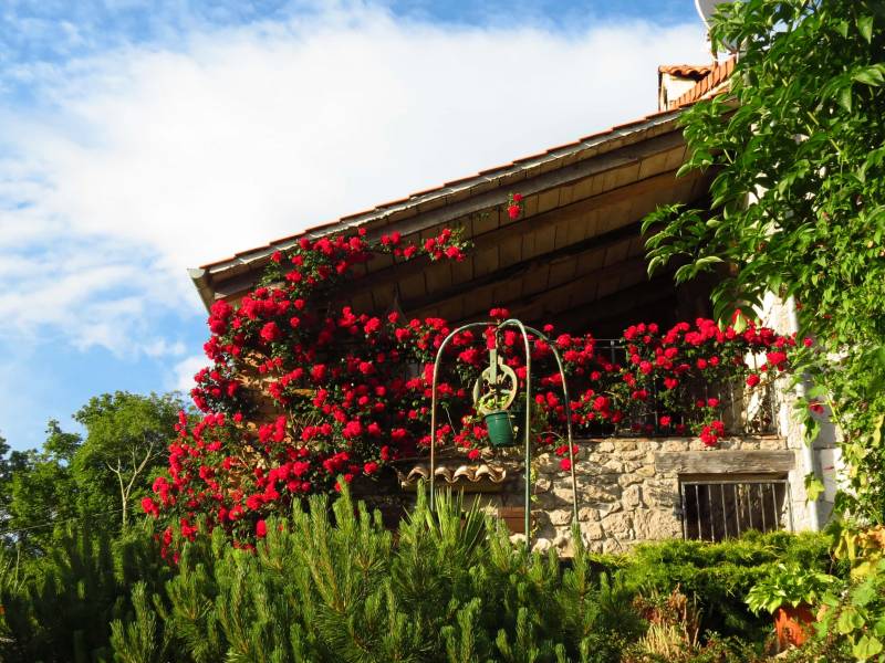 Villa with pool, Roc, Istria, Croatia 