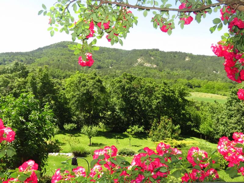 Kuća za odmor sa bazenom, Roč, Istra, Hrvatska 