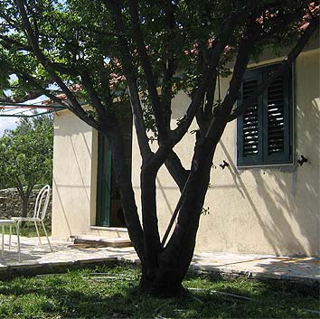 Apartman Mate IV Apartman Mate IV