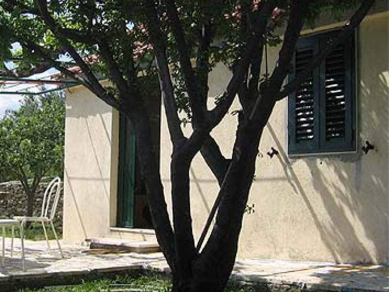 Apartman Mate IV 