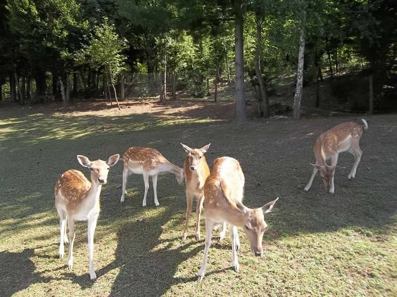 Kuća za odmor Mušaluk, Lika, Hrvatska 