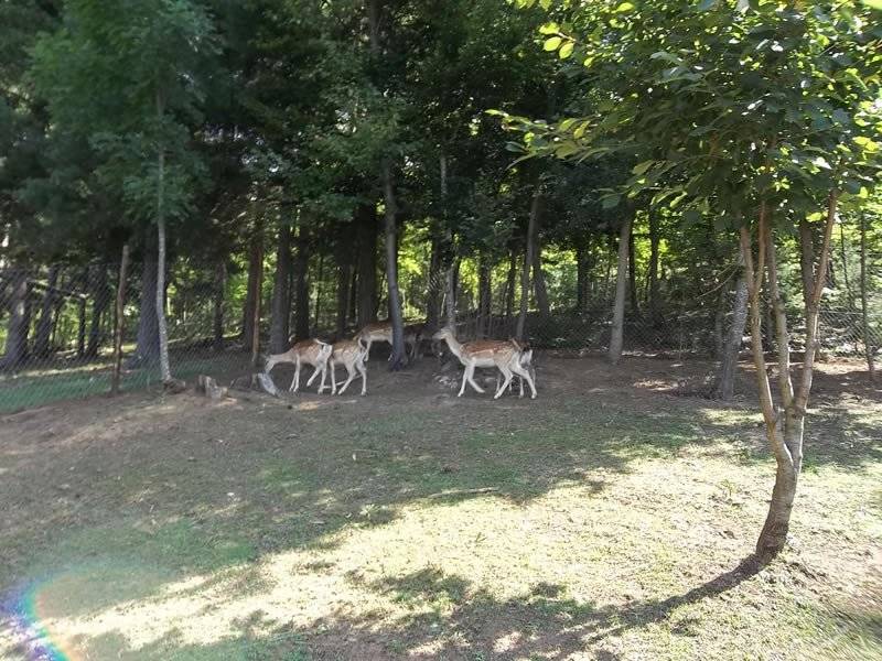 Počitniška hiša Mušaluk, Lika, Hrvaška 