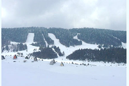 Hotel Adria Ski 