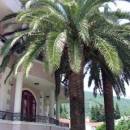 Monteroyale Апартаменты Monteroyale Apartments Budva 3 Monteroyale Апартаменты Monteroyale Apartments Budva 3